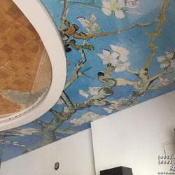 Потолок с фотопечатью. Ван Гог - 
