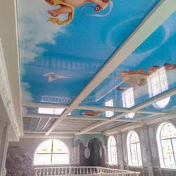 Натяжные потолки с фотопечатью в бассейне. г. Брянск.