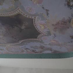 Фотопечать на потолке. Плафон «Торжество Венеры» С. Торелли.