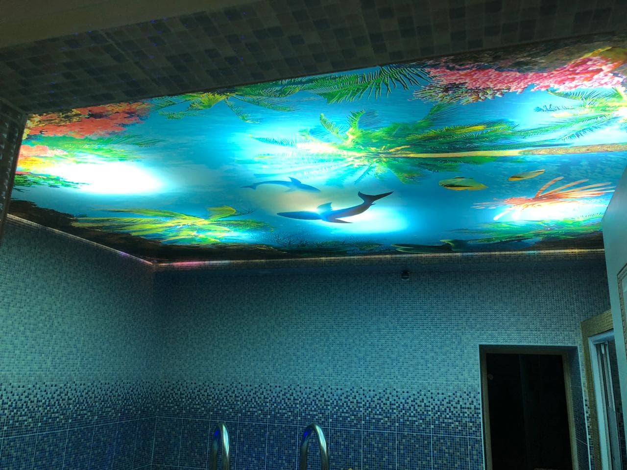 Фотопечать на потолке в бассейне - вода, рыбы, дельфины. Натяжной потолок с печатью в бассейне загородного дома.